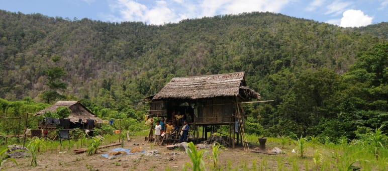 Die Tau Taa Wana Posangke können nun allein über ihr Land und ihren Wald verfügen Menschen stehen vor einer Hütte im Wald