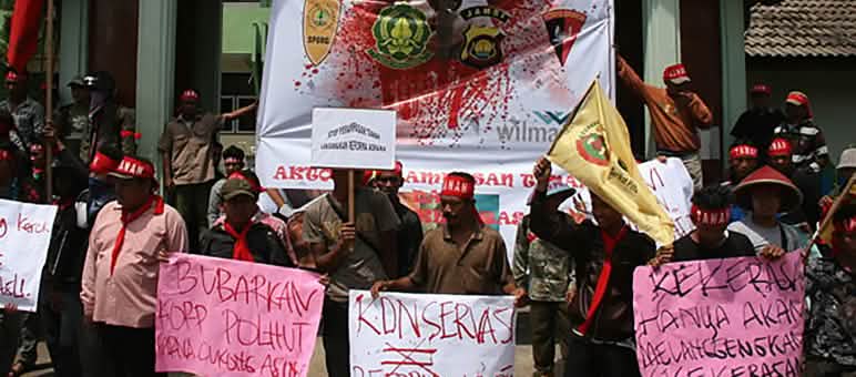 Demo gegen Palmölfirmen auf Sumatra