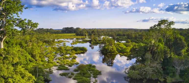 Eine Waldlichtung im Kongo-Becken