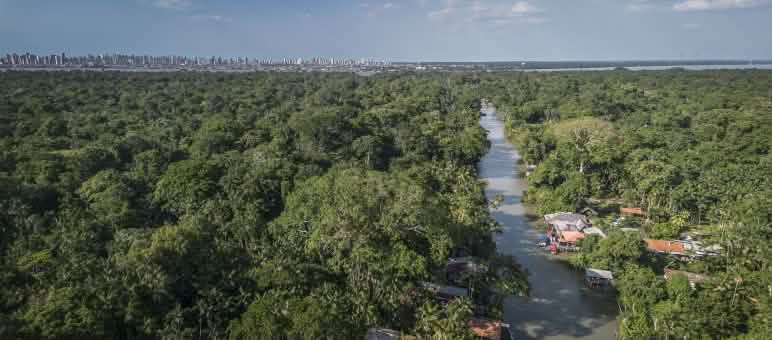 Belem Silhouette und Regenwald