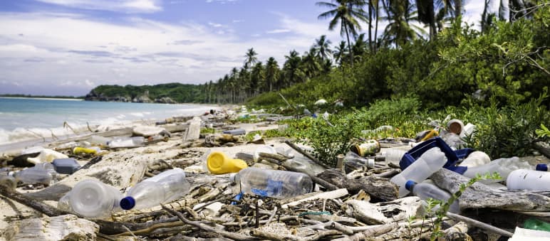 Plastikmüll am Palmmen-Strand
