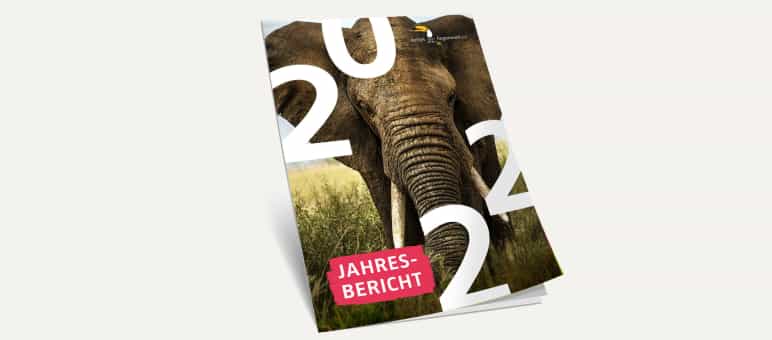 3D-Ansicht des Covers vom Jahresbericht 2022