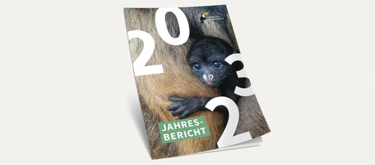3D-Ansicht des Covers vom Jahresbericht 2023