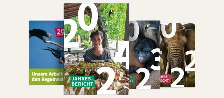 Der Jahresbericht 2024 ist erschienen. Jahresberichte Collage 2021 bis 2024 - DE