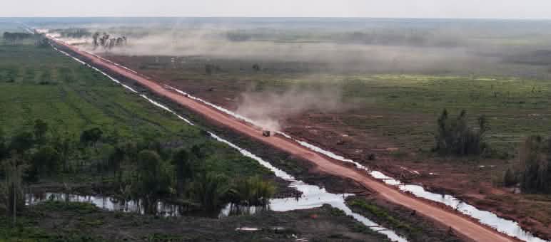 Rote Straße durch ehemaliges Regenwaldgebiet