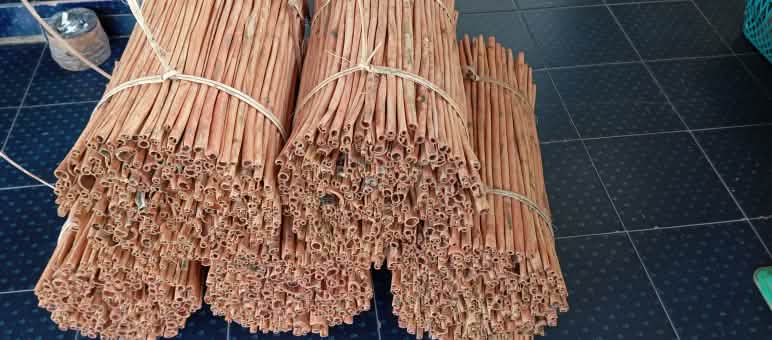 Bündel von getrockneten Zimtstangen