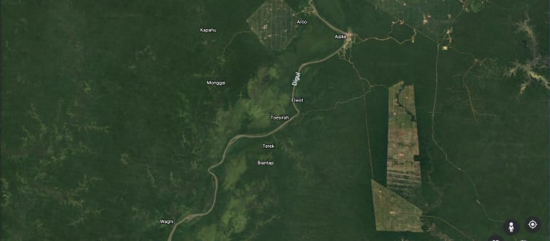 Google Earth Aufnahme der Korindo Konzessionen