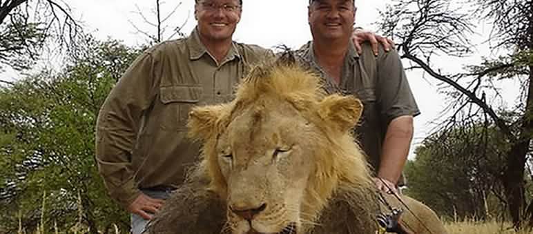 Der Trophäenjäger in Afrika