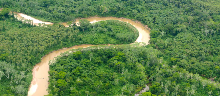 Luftaufnahme Peru Amazonas
