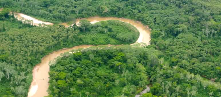 Ein Fluss schlängelt sich durch Regenwald in Peru (© Rettet den Regenwald / Mathias Rittgerott) Luftaufnahme Peru Amazonas