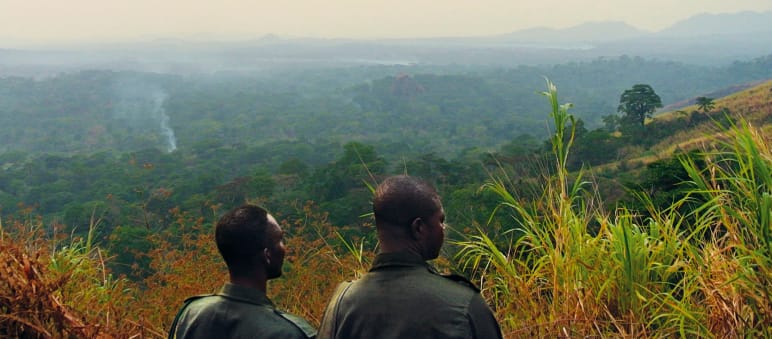 In der Abenddämmerung warten Eco-Guards auf die Ankunft der Schwalben (oben im Bild). Aussicht Nigeria