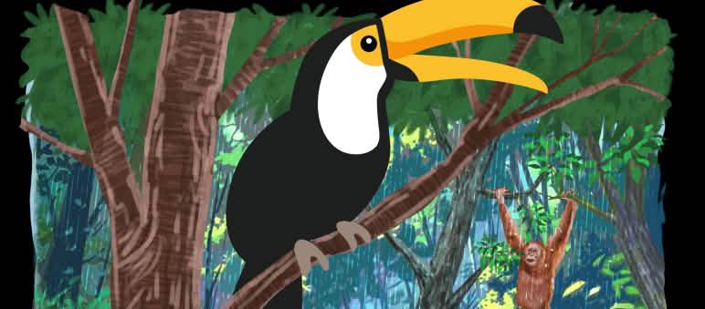 Shirt Design mit Tukan und Orang-Utan im Regenwald