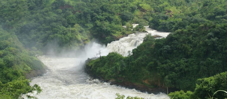 Der Murchison-Falls-Nationalpark liegt im Nordwesten Ugandas Ein weiß schäumender Wasserfall mitten im grünen Dschungel