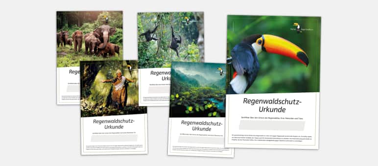Spendenurkunde 2023