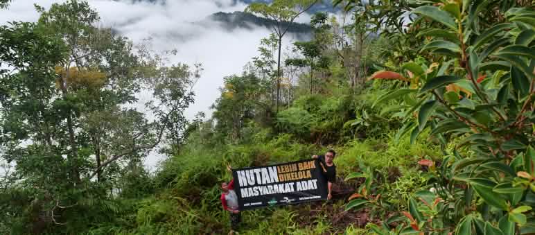 SOB-Plakat-Aktion zur Rettung des Regenwaldes auf Borneo
