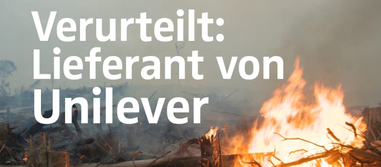 Nach indonesischen Recherchen gehört die Palmölfirma RKK zur Makin Group, die auch den Konsumgüterhersteller Unilever beliefert. Feuer und Rodung für Palmöl