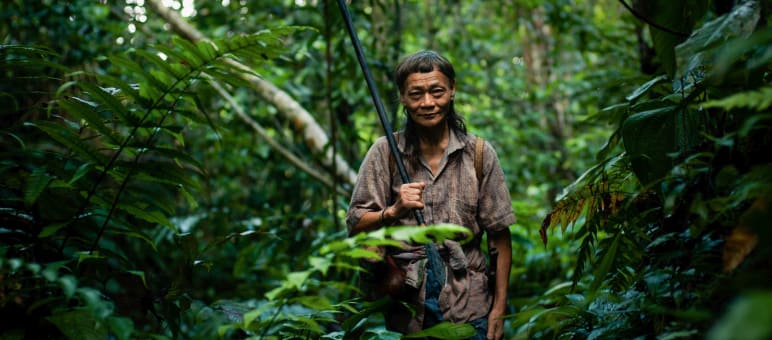 Für ihren gewaltlosen Widerstand gegen die Zerstörung ihres Regenwaldes sind die Penan auf Borneo weltweit bekannt Penan in Sarawak