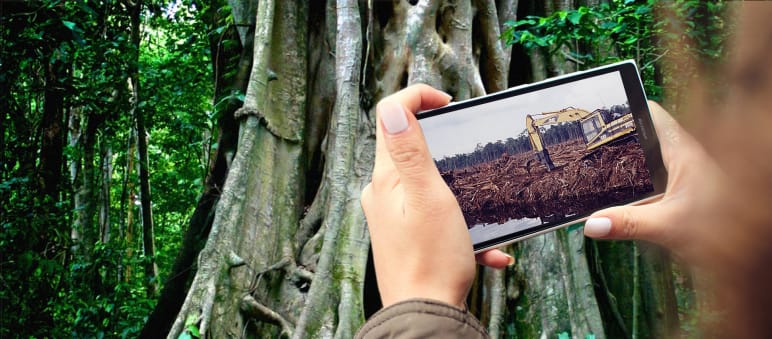 Die Rohstoff-Förderung für Smartphones vernichtet Regenwälder und gefährdet Menschen... Rohstoffe im Smartphone