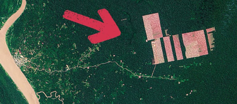 So sehen die östlich des Amazonas (links) in den Regenwald geschlagenen Kakaoplantagen aus dem Weltall aus Peru Abholzung Tamshiaycu