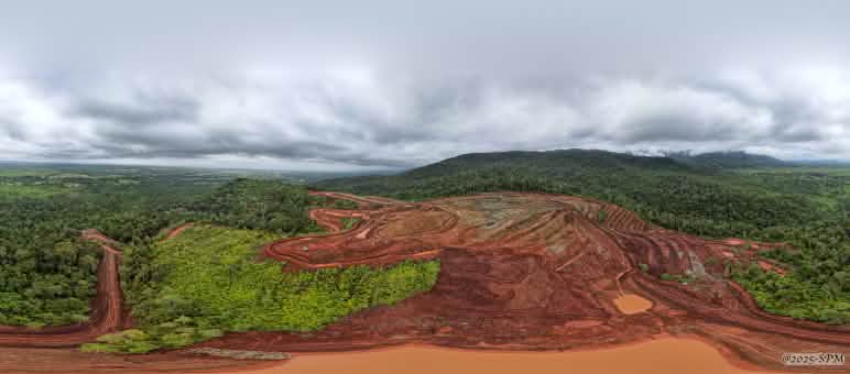 braune gerodete Flächen breiten sich im Regenwald aus