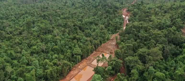 Eine braune Schneise mit gefüllten Abraumbecken zieht sich durch dichten Regenwald