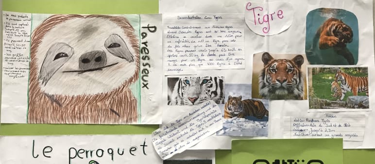 Regenwald-Poster der Klasse 6d Poster-Schulaktion
