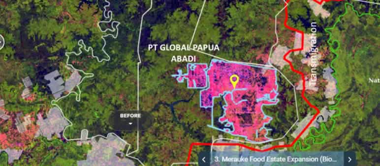 Satellitenaufnahme mit Konzession von PT Global Papua Abadi