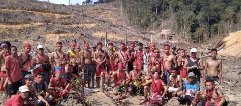 Indigene Dayak auf Kahlschlag