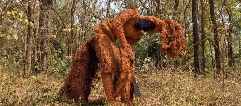 Der Waldgeist Kankoran Fambondi - Spiritualität schützt in Guinea-Bissau den Wald Waldgeist - Zeremonie, Guinea-Bissau