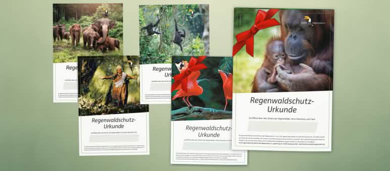 Auswahl von Spendenurkunden