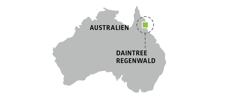 Karte Australien Daintree Regenwald
