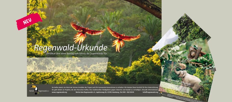 Neue Urkunden
