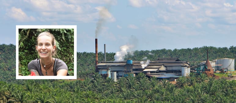 Maike Spengler. Plantagen und Palmöl-Fabriken statt Regenwald Collage: Maike Spengler + Palmölfabrik im Regenwald