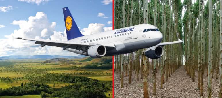 Collage zu Lufthansa und Klimaschutz