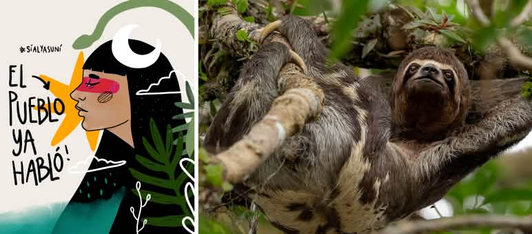 Report 4-25 - Collage Ecuador 2