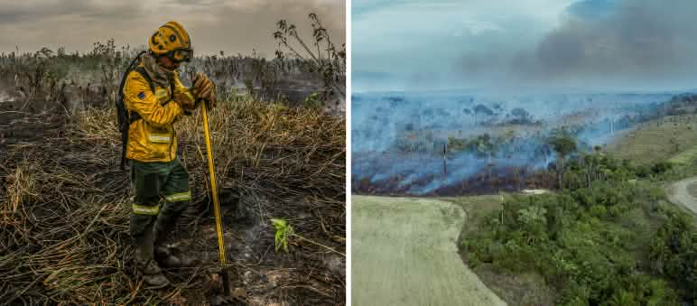 Report 4-25 - Collage Starke Partner Brasilien