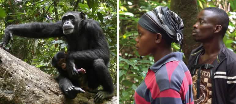 Report 4-25 - Collage Starke Partner Liberia