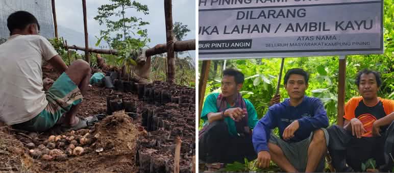 Report 4-25 - Collage Starke Partner Sumatra