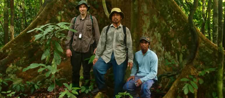 Die Expedition durch das Projektgebiet endet für Robert und seine Begleiter... Robert und zwei Einheimische vor einem Urwaldriesen