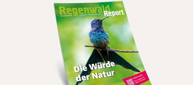 Ende März erschienen: Der neue "Regenwald Report" ist jetzt verfügbar. 3D-Ansicht des Covers vom Regenwald Report 1/21