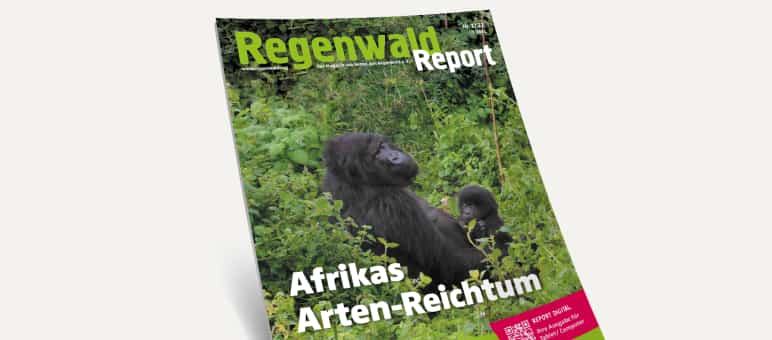 3D-Ansicht des Covers vom Regenwald Report 1/22