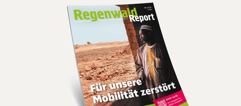 Die aktuelle Ausgabe der Zeitschrift Regenwald Report kann kostenlos bestellt werden. 3D-Ansicht des Covers vom Regenwald Report 2/21