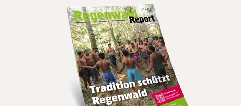 3D-Ansicht des Covers vom Regenwald Report 2/22