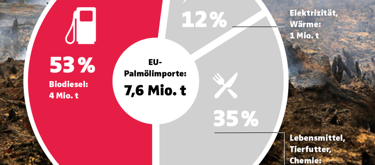 Grafik Palmöl in Report 3/19