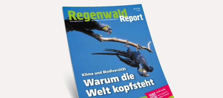 Regenwald Report Nr. 3/2021 - jetzt bestellen. 3D-Ansicht des Covers vom Regenwald Report 3/21