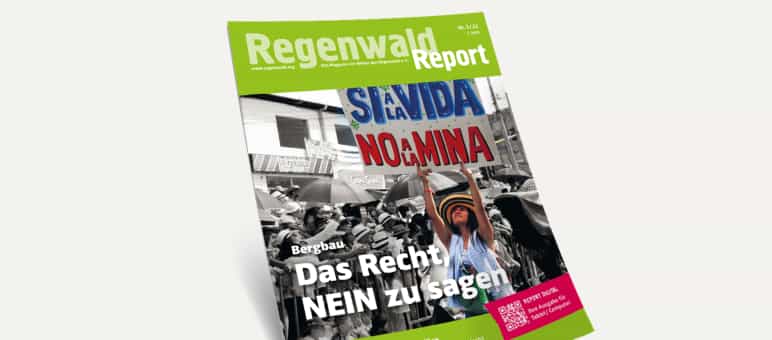 3D-Ansicht des Covers vom Regenwald Report 3/22