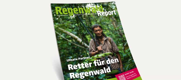 3D-Ansicht des Covers vom Regenwald Report 4/21