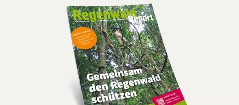 3D-Ansicht des Covers vom Regenwald Report 4/22