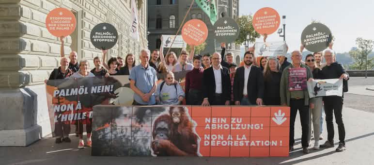 Etwa 20 Menschen mit Bannern in Bern