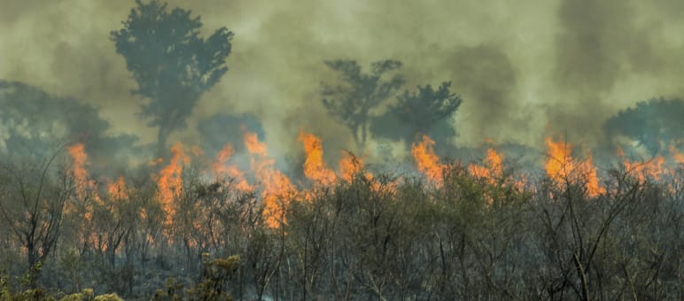 Feuer im Brasilianischen Regenwald